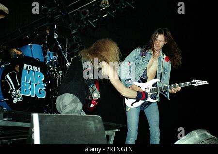 Milano Italia 1993-11-18: Billy Sheehan bassista e Paul Gilbert chitarrista del gruppo Mr.Big in concerto al Palatrussardi Foto Stock