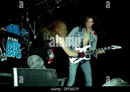 Milano Italia 1993-11-18: Billy Sheehan bassista e Paul Gilbert chitarrista del gruppo Mr.Big in concerto al Palatrussardi Foto Stock