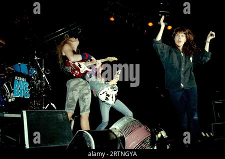 Milano Italia 1993-11-18: Gruppo Mr.Big in concerto al Palatrussardi Foto Stock