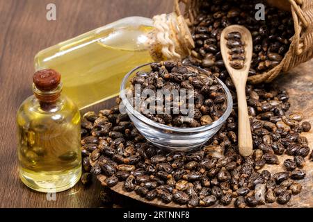 Ricinus communis - semi secchi e olio del frutto della pianta di fagioli di Castor Foto Stock