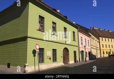 Case colorate nel quartiere del Castello, Budapest, Ungheria Foto Stock