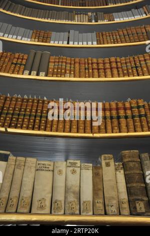 Funzione/simbolo: Herzogin-Anna-Amalia-Bibliothek 09/23 thg Der Rokokosaal der Bibliothek der deutschen Klassik in Weimar im September 2023 Deutschland deutsch deutsche Stadt Kultur Buch Bücher Literatur Sammlung Archiv Museum Nationale Forschungs- und Gedenkstätten der klassischen deutschen Literatur in Weimar Goethe Nationalmuseum Goethe Bücherregal Regalsmuseum Bücherregale Gemälde Archivier Schorisch-Bilerum Kunst Büsten Statuen Wandverzierungen Wandschmuck antikes Geländer antik Anna Amalia Herzogin Rokoko Saal Antiquitäten Bücherrücken germania tedesca Foto Stock