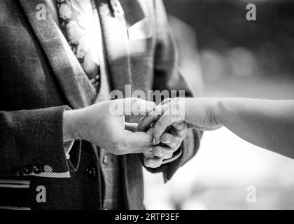 Sposo che metta la splendida fede nuziale al dito delle spose durante la cerimonia nuziale Foto Stock