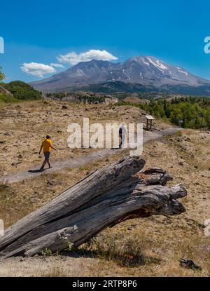 WASHINGTON, USA - escursionisti, Mount St Helens National Volcanic Monument, Gifford Pinchot National Forest, sulle montagne Cascades. Foto Stock