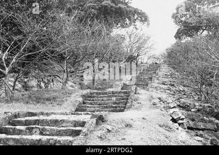 Anche se cammino attraverso la valle dell'ombra della morte, non temerò il male, perché voi siete con me; la vostra canna e il vostro bastone, mi confortano. Foto Stock