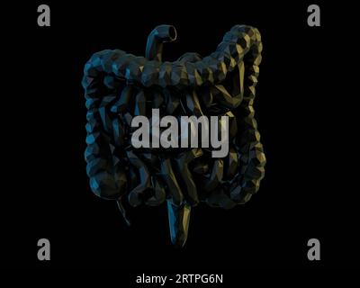 illustrazione 3d dell'organo interno umano astratto a basso poli - intestino. Intestino crasso e tenue isolato su nero Foto Stock