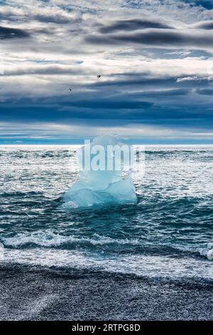 Famosa spiaggia Diamond con iceberg che si scioglie sulla spiaggia di sabbia nera vicino alla laguna del ghiacciaio Jokulsarlon in estate nel sud dell'Islanda Foto Stock