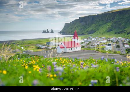 Splendida vista della chiesa di Reyniskirkja e di vik i Myrdal, con fiori colorati che fioriscono nella città di Vik in estate nel sud dell'Islanda Foto Stock