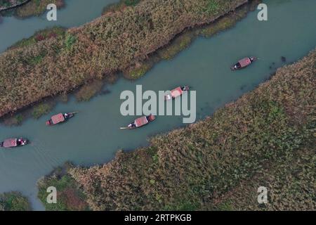 Hangzhou. 3 novembre 2019. Questa foto aerea scattata il 3 novembre 2019 mostra i turisti che prendono le barche per visitare la zona umida di Xixi a Hangzhou, nella provincia dello Zhejiang nella Cina orientale. I diciannovesimi Giochi asiatici si svolgeranno a Hangzhou tra il 23 settembre e l'8 ottobre, con un totale di 40 sport. Saranno i terzi Giochi asiatici ad essere ospitati in Cina, dopo Pechino 1990 e Guangzhou 2010. Gli attesissimi Giochi asiatici possono contribuire ad aumentare la popolarità di Hangzhou, dove storia e modernità coesistono e promuovere ulteriormente la sua cultura. Crediti: Huang Zongzhi/Xinhua/Alamy Live News Foto Stock