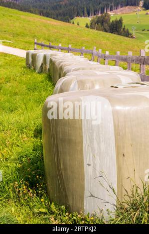 Balle di paglia avvolte di fila accanto alla recinzione in alto Adige Foto Stock