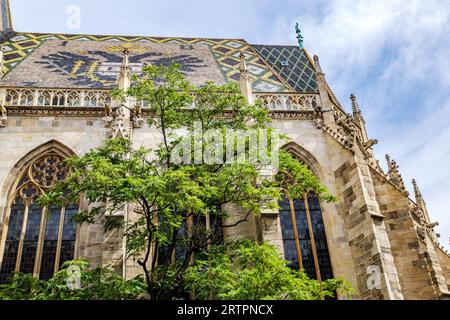 Vienna, Austria. Vista della facciata sud della cattedrale di Stephansdom con un albero verdeggiante, a Stephansplatz, in estate. Foto Stock