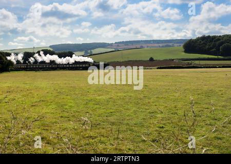 Il treno turistico che corre tra Blue Anchor e Dunster. Foto Stock