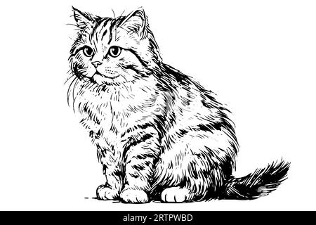 Gatto disegnato a mano con inchiostro incisione in stile vintage.illustrazione vettoriale. Illustrazione Vettoriale