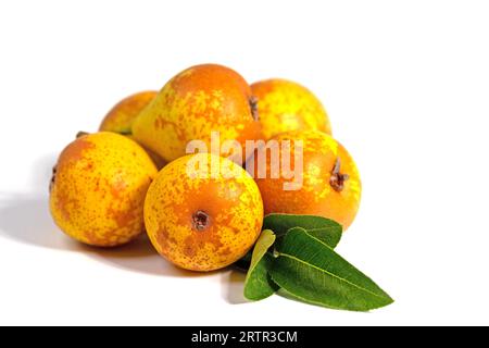 Pere mature, Pyrus, di fronte a uno sfondo bianco Foto Stock