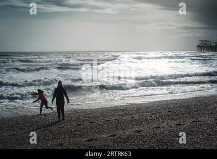 Un paio di spiagge, che lanciano sassi, ciottoli, in un mare tempestoso, costa meridionale dell'Inghilterra Brighton Foto Stock