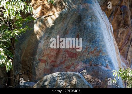 Pittura rupestre a Tsodilo Hills, Botswana Foto Stock