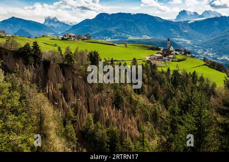 Piramidi di terra, sorgente, Lengmoos, Mittelberg am Ritten, vicino Bolzano, Dolomiti, alto Adige, Italia Foto Stock