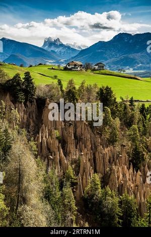 Piramidi di terra, sorgente, Lengmoos, Mittelberg am Ritten, vicino Bolzano, Dolomiti, alto Adige, Italia Foto Stock