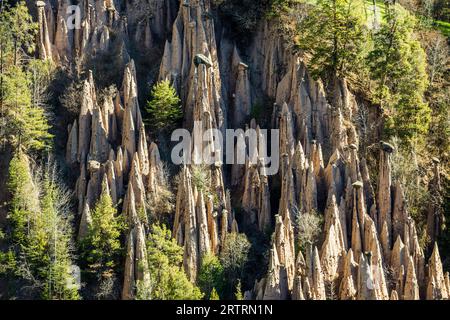 Piramidi di terra, sorgente, Lengmoos, Mittelberg am Ritten, vicino Bolzano, Dolomiti, alto Adige, Italia Foto Stock