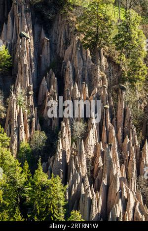 Piramidi di terra, sorgente, Lengmoos, Mittelberg am Ritten, vicino Bolzano, Dolomiti, alto Adige, Italia Foto Stock