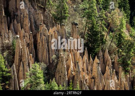 Piramidi di terra, sorgente, Lengmoos, Mittelberg am Ritten, vicino Bolzano, Dolomiti, alto Adige, Italia Foto Stock