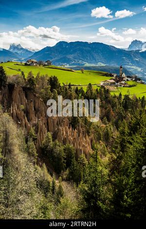 Piramidi di terra, sorgente, Lengmoos, Mittelberg am Ritten, vicino Bolzano, Dolomiti, alto Adige, Italia Foto Stock