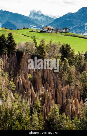 Piramidi di terra, sorgente, Lengmoos, Mittelberg am Ritten, vicino Bolzano, Dolomiti, alto Adige, Italia Foto Stock