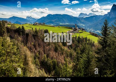 Piramidi di terra, sorgente, Lengmoos, Mittelberg am Ritten, vicino Bolzano, Dolomiti, alto Adige, Italia Foto Stock