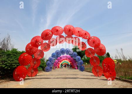 Il paesaggio architettonico dell'ombrello di carta a olio della Cina nel parco Foto Stock