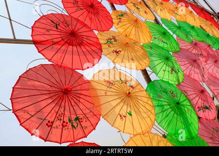 Il paesaggio architettonico dell'ombrello di carta a olio della Cina nel parco Foto Stock