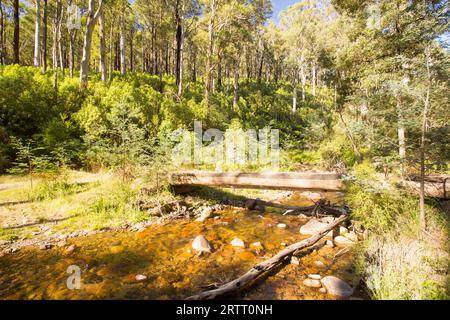 La base del poema epico passeggiate a piedi e in bicicletta la via denominata Delatite River Trail vicino Mirimbah, Mt Buller in Victoria, Australia Foto Stock