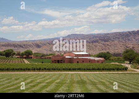 Angastaco, Argentina, 13 novembre 2015: Fotografia del vigneto Bodega El Cese sulla Route 40 nell'Argentina nord-occidentale Foto Stock