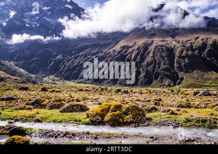 Paesaggio vulcanico andino Mossy nella luce del pomeriggio vicino al vulcano El Altar nella regione di Riobamba, Ecuador Foto Stock