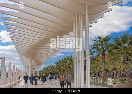 Paseo del Muelle Dos, con il Palmeral de las sorpresas, passeggiata al porto, Malaga, Andalusia Spagna Foto Stock