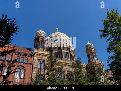 Tambour dome, nuova Sinagoga, Oranienburger Strasse a Mitte, Berlino, Germania Foto Stock