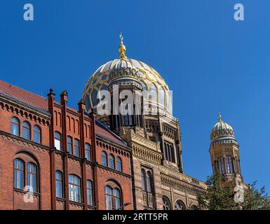 Tambour dome, nuova Sinagoga, Oranienburger Strasse a Mitte, Berlino, Germania Foto Stock