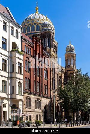 Tambour dome, nuova Sinagoga, Oranienburger Strasse a Mitte, Berlino, Germania Foto Stock