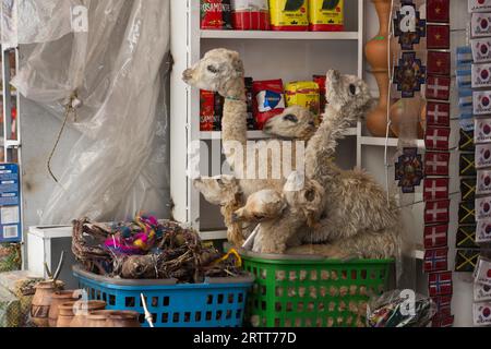 La Paz, Bolivia, 24 ottobre 2015: Feti secchi di lama infantile al mercato delle streghe Foto Stock