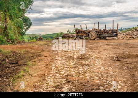 Minas Gerais, Brasile, 27 dicembre 2015: Uomo nella natura che si gode un giro in quad fuoristrada in campagna Foto Stock