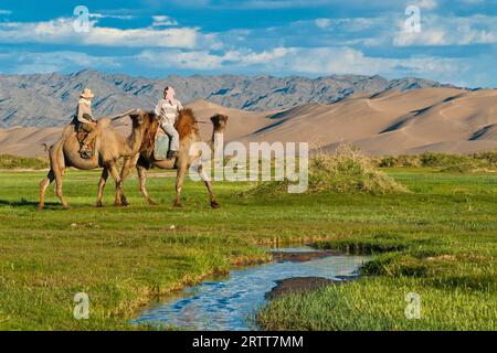 Turista con mandriano di cammelli mongoli che cavalca cammelli attraverso lussureggianti prati verdi verso le grandi dune di sabbia Khorgoryn Els nel deserto del Gobi, Gurvan Foto Stock