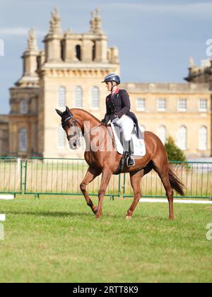 Gemma Stevens di Gran Bretagna con Jalapeno III durante il test di dressage al Blenheim Palace International Horse Trials il 14 settembre 2023, Regno Unito (foto di Maxime David/MXIMD Pictures - mximd.com) Foto Stock