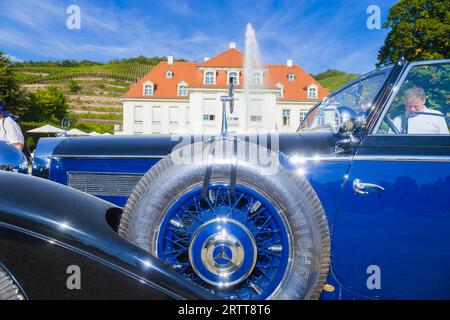 DEU Sachsen Radebeul (C Sylvio Dittrich +49 1772156417) Concours d'Elegance Mercedes 540K anno 1938 il salone dell'auto d'epoca del 1900 - 1945 Foto Stock