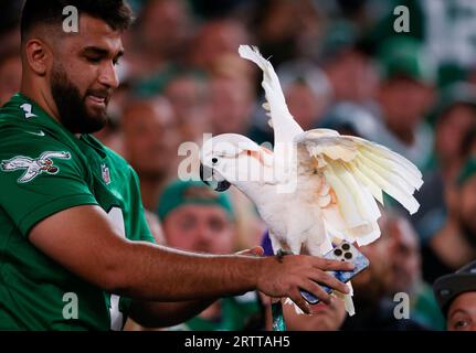 Philadelphia, Stati Uniti. 14 settembre 2023. Un tifoso tiene un uccello Cockatoo in tribuna quando i Minnesota Vikings giocano contro i Philadelphia Eagles nella settimana 2 della stagione NFL al Lincoln Financial Field di Philadelphia giovedì 14 settembre 2023. Foto di John Angelillo/UPI Credit: UPI/Alamy Live News Foto Stock