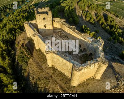 Vista aerea del castello di Davalillo sopra il fiume Ebro a Rioja in Spagna, con torri semicircolari e torre di omaggio edificio residenziale difensivo medievale Foto Stock