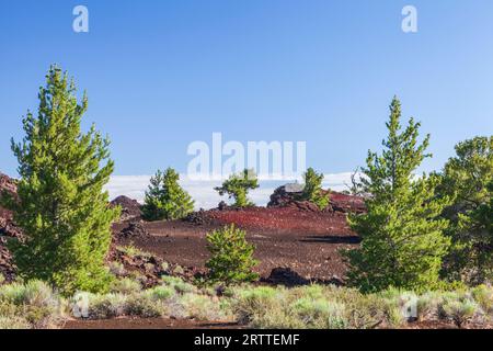 Terreno accidentato nel Craters of the Moon National Monument and Preserve in Idaho. Il National Park Service descrive il parco come "un vasto oceano di lava" Foto Stock