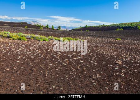 Terreno accidentato nel Craters of the Moon National Monument and Preserve in Idaho. Il National Park Service descrive il parco come "un vasto oceano di lava" Foto Stock