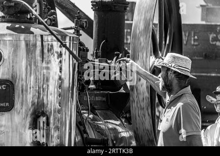 FRANCIA. ALPI. ISERE (38) REGIONE MATHEYSINE. VILLAGGIO DI PIERRE-CHATEL. LA FESTA DEL RACCOLTO RICREA LA VITA CONTADINA IN ISERE PRIMA DELL'ARRIVO DI THERM Foto Stock