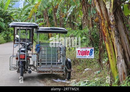 Cartellone pubblicitario stradale per erbicida glifosato Triple 8 480SL (Tag Chem) utilizzato nei pressi della piantagione di banane, triciclo sidecar boxtype, Filippine Foto Stock