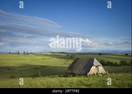 FRANCIA, CANTAL (15) AUVERGNE, PAILHEROLS, BURON Foto Stock