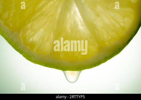 foto ravvicinata della fetta di limone con goccia di succo Foto Stock
